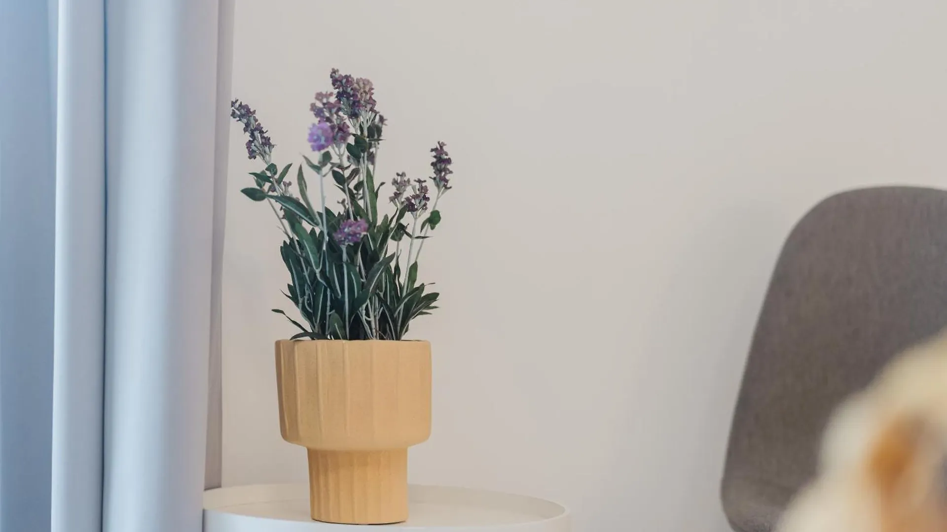 Fabrizio'S Apartment Сорсо Италия